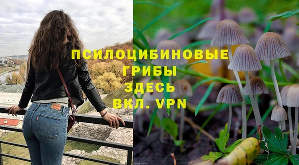 мяу мяу мука Гусиноозёрск