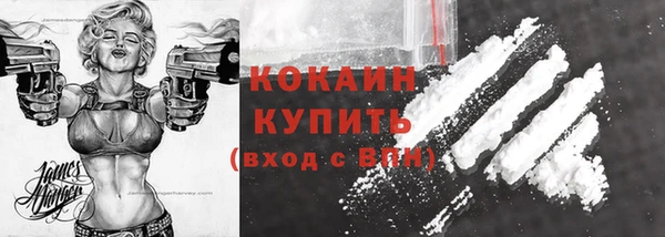 мяу мяу мука Гусиноозёрск