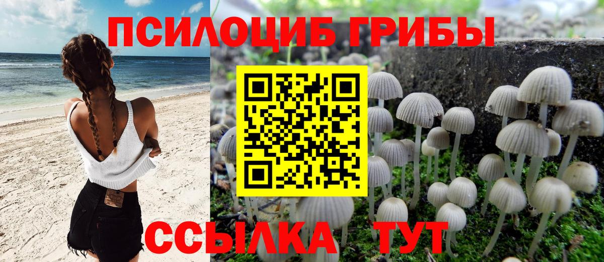Галлюциногенные грибы Magic Shrooms  Гусь-Хрустальный  купить   Галлюциногенные грибы Psilocybe 