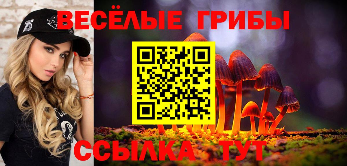 Галлюциногенные грибы GOLDEN TEACHER Гусь-Хрустальный