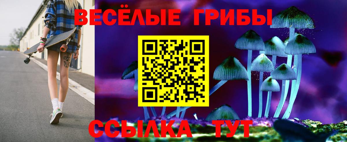 Галлюциногенные грибы GOLDEN TEACHER  магазин продажи наркотиков  Гусь-Хрустальный  Вход с VPN  Псилоцибиновые грибы GOLDEN TEACHER 